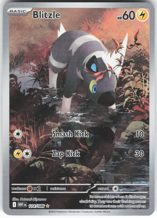 Blitzle Illustration Rare SV: White Flare 114/086 NM