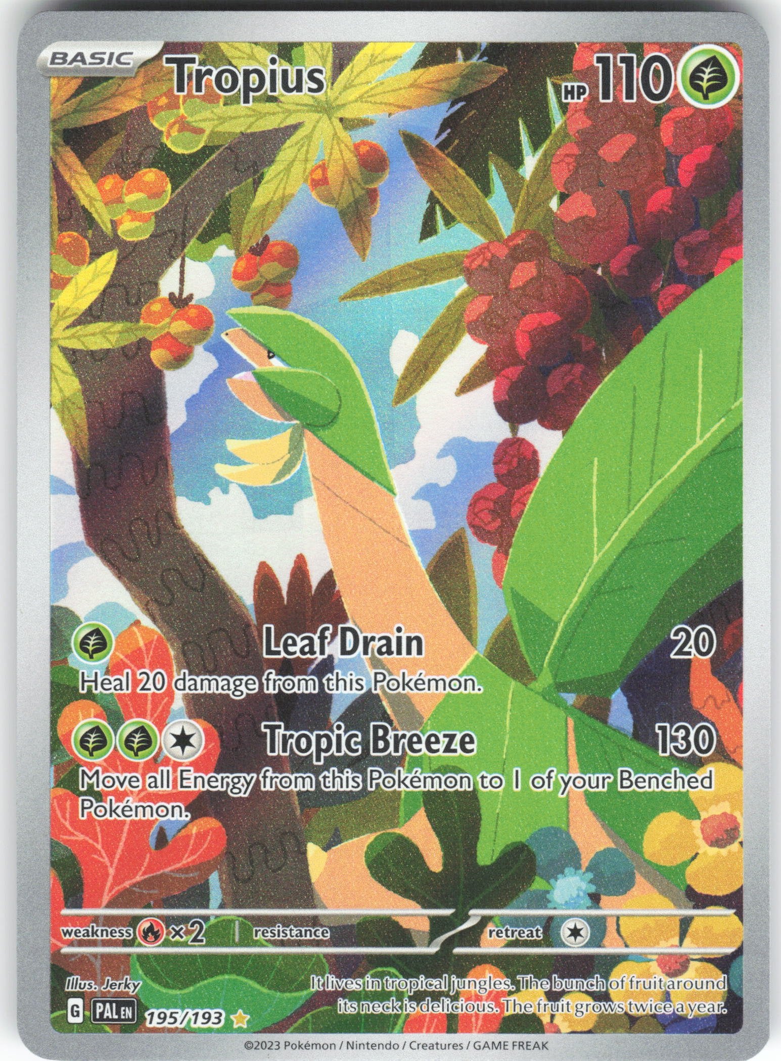 Tropius Illustration Rare SV02: Paldea Evolved 195/193 NM