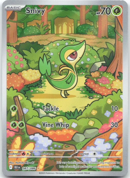 Snivy - Illustration Rare SV: Black Bolt 087/086 NM