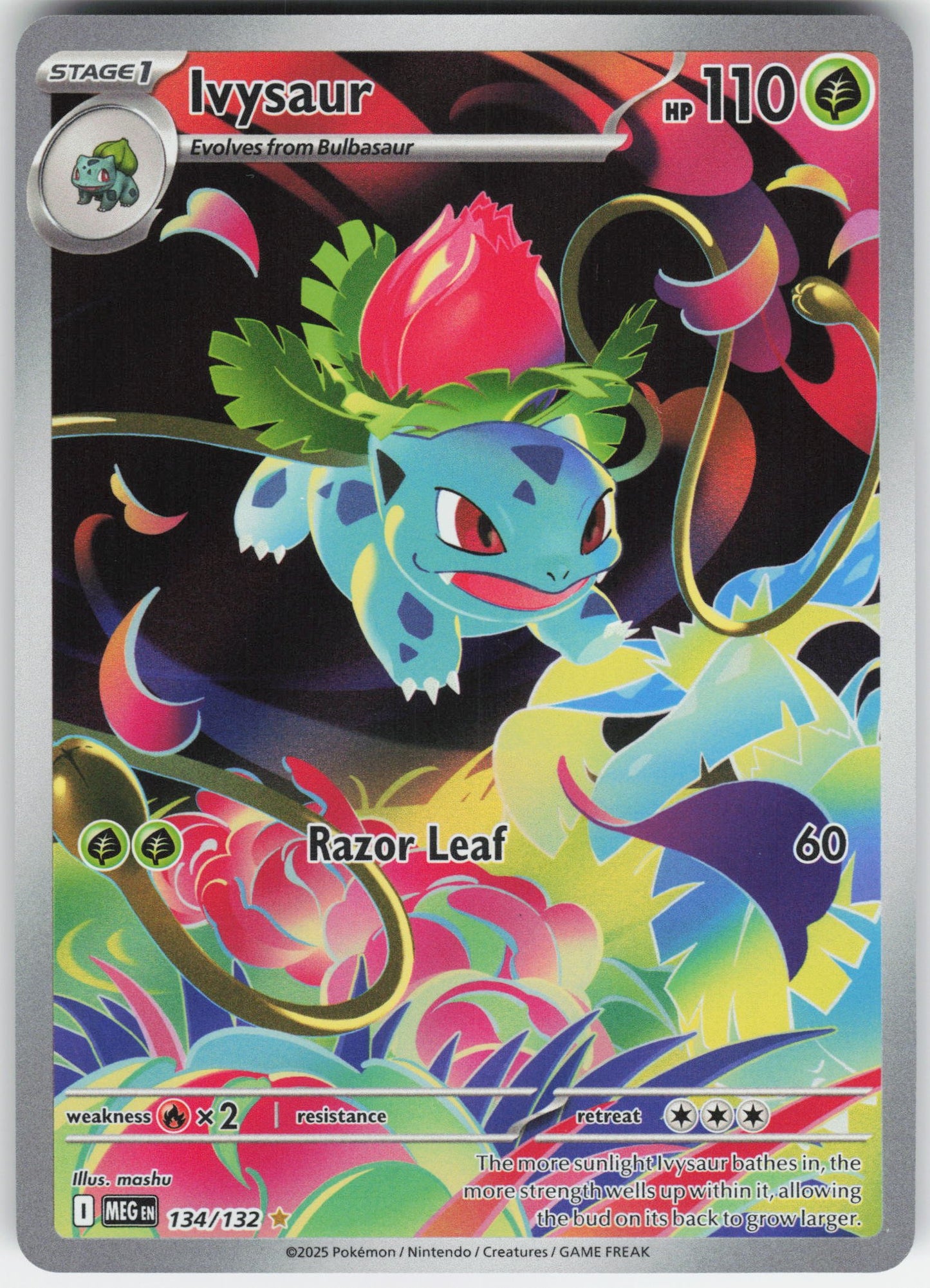 Ivysaur - Illustration Rare ME01: Mega Evolution 134/132 NM