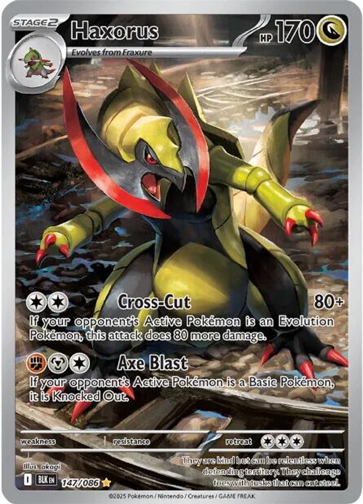 Haxorus 147/086 Illustration Rare Black Bolt Holo NM/M