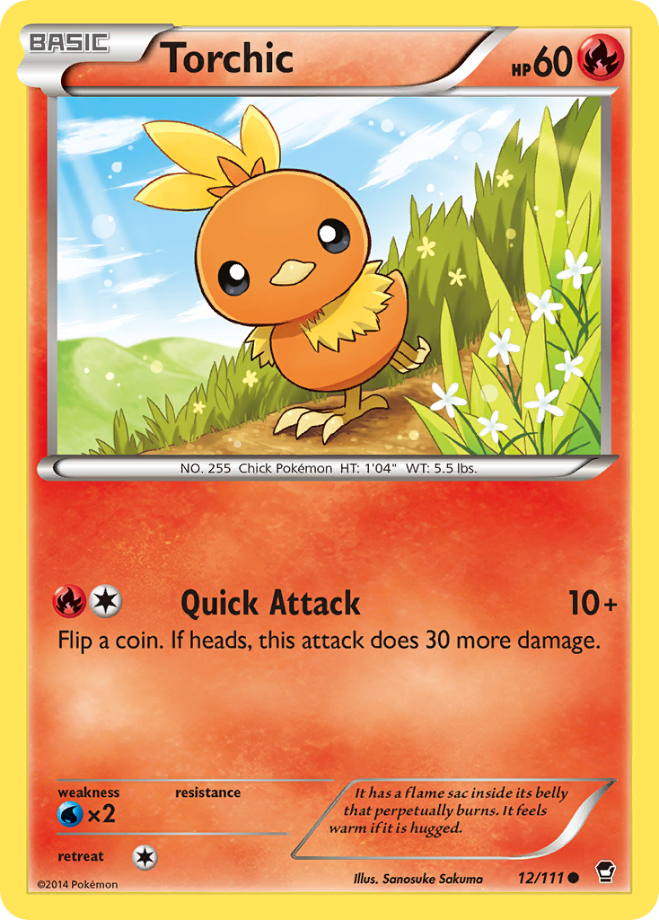 Torchic 12/111 Common Furious Fists NM/LP