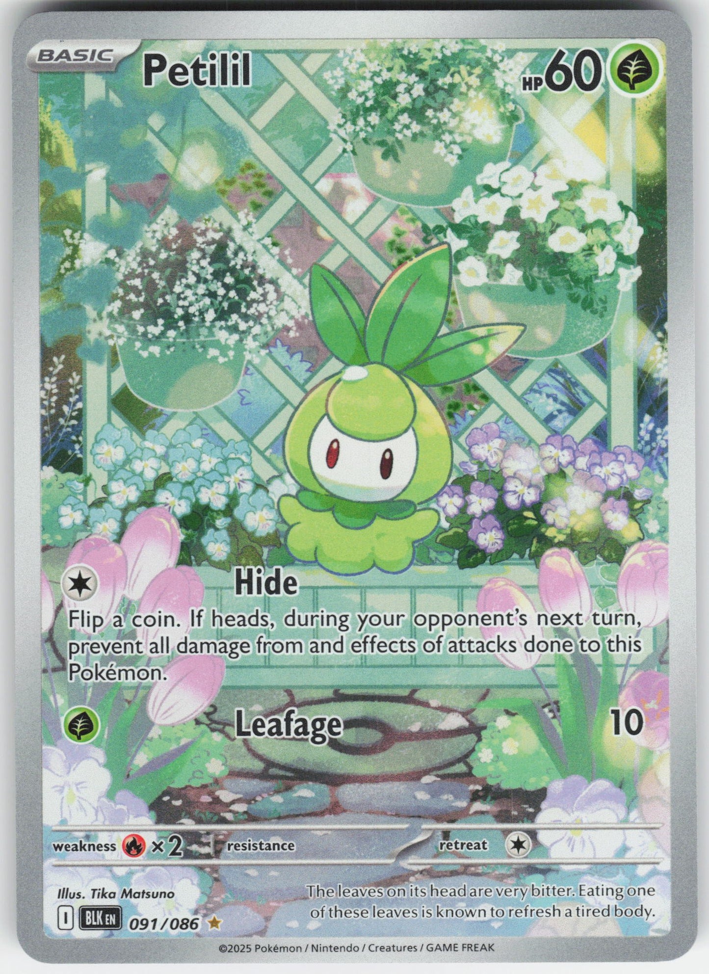 Petilil - Illustration Rare SV: Black Bolt 091/086 NM