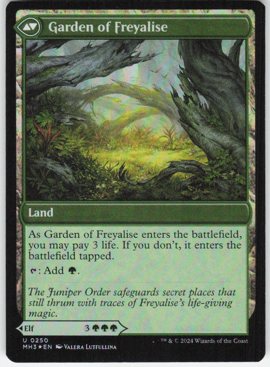 Disciple of Freyalise U Modern Horizons 3 250 NM (Back)