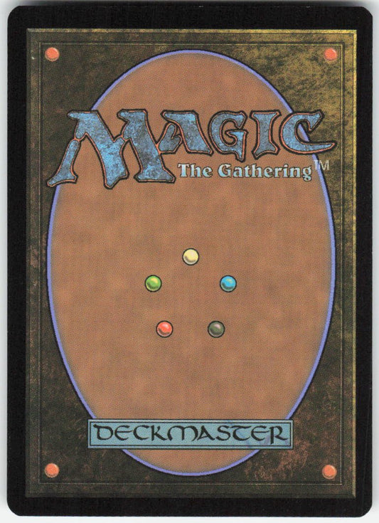 Adarkar Wastes (Borderless) R Dominaria United 377 NM (Back)