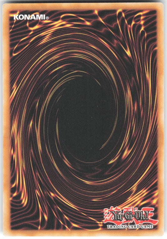 Dark Magician Ultra Rare Rarity Collection 5 RA05-EN083 NM (Back)