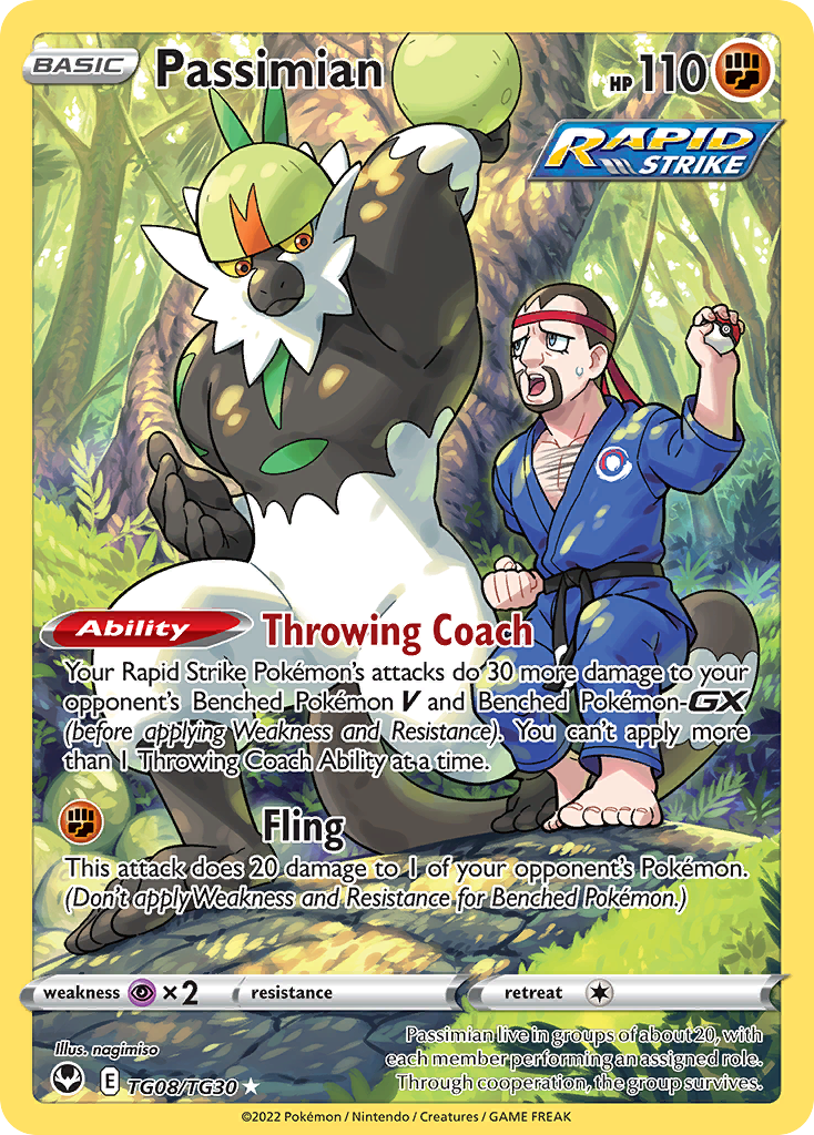Passimian TG08/TG30 Silver Tempest Trainer Gallery Holo NM/M