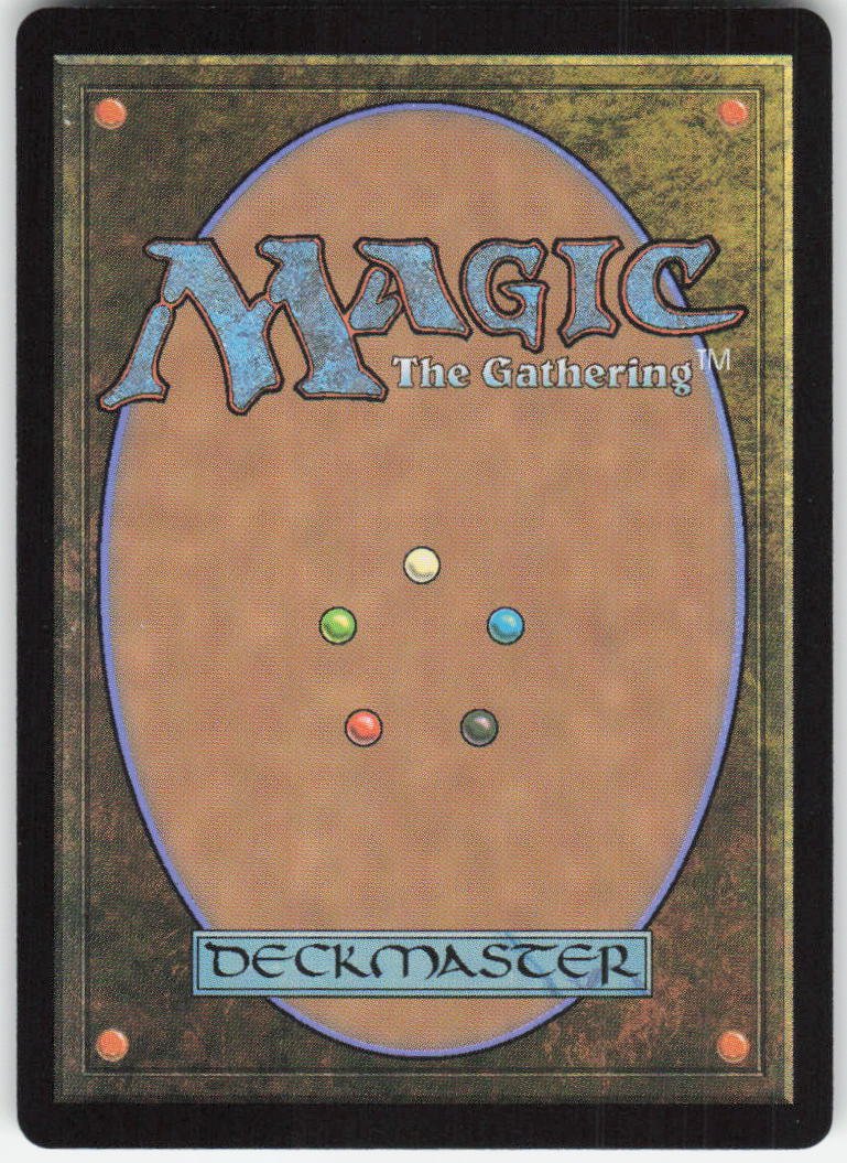 The Wandering Rescuer M Duskmourn: House of Horror 41 NM (Back)