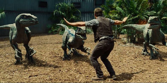 A Pack of Raptors Descends on Queensland