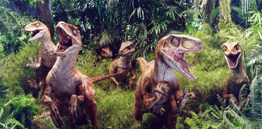 The Raptor Pack is expanding in time for the Weekend Double Header! Day 1