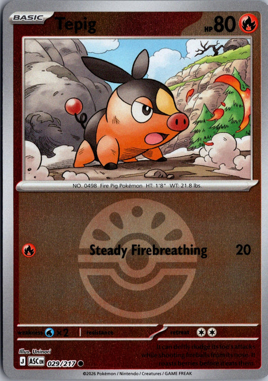 Tepig (Friend Ball) 029/217 Common Reverse Holo Ascended Heroes NM/M