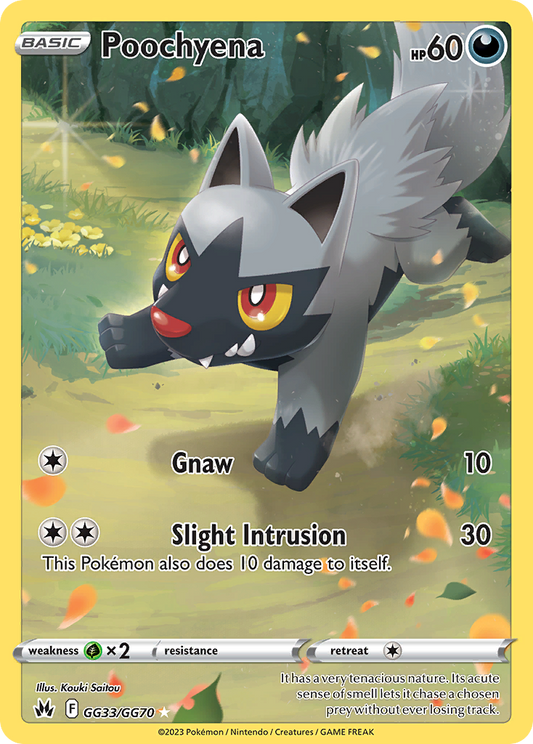 Poochyena GG33/GG70 Trainer Gallery Rare Crown Zenith Galarian Gallery Holo NM/M