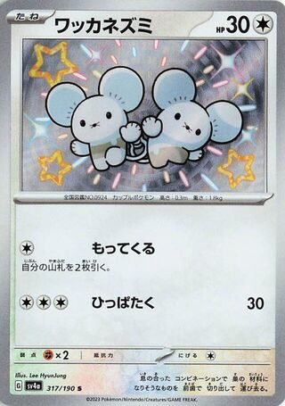 Tandemaus 317/190 Shiny Shiny Treasure ex NM/M