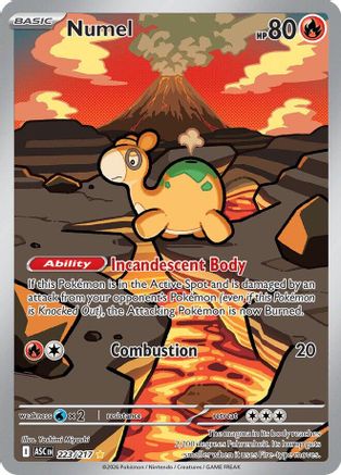 Numel 223/217 Illustration Rare Ascended Heroes NM/M