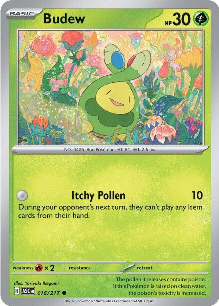 Budew 016/217 Common Ascended Heroes NM/M