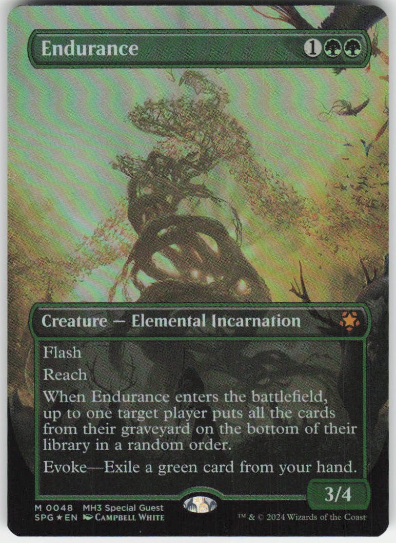 Endurance (Borderless) M Special Guests 48 NM