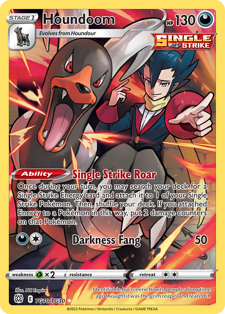 Houndoom TG10/TG30 Brilliant Stars Trainer Gallery Holo NM/M