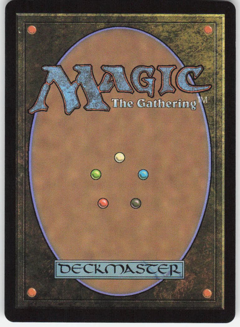 Suki, Courageous Rescuer (Extended Art) R Avatar: The Last Airbender 368 NM (Back)