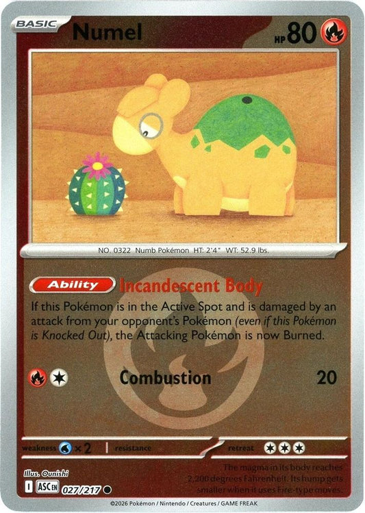 Numel (Energy Symbol Pattern) 027/217 Common Reverse Holo Ascended Heroes NM/M