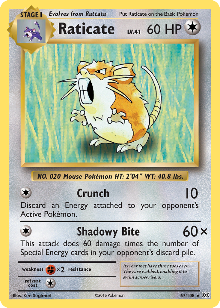 Raticate 67/108 Rare Reverse Holo Evolutions NM/LP