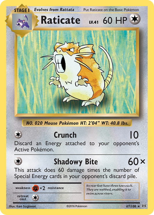 Raticate 67/108 Rare Reverse Holo Evolutions NM/LP