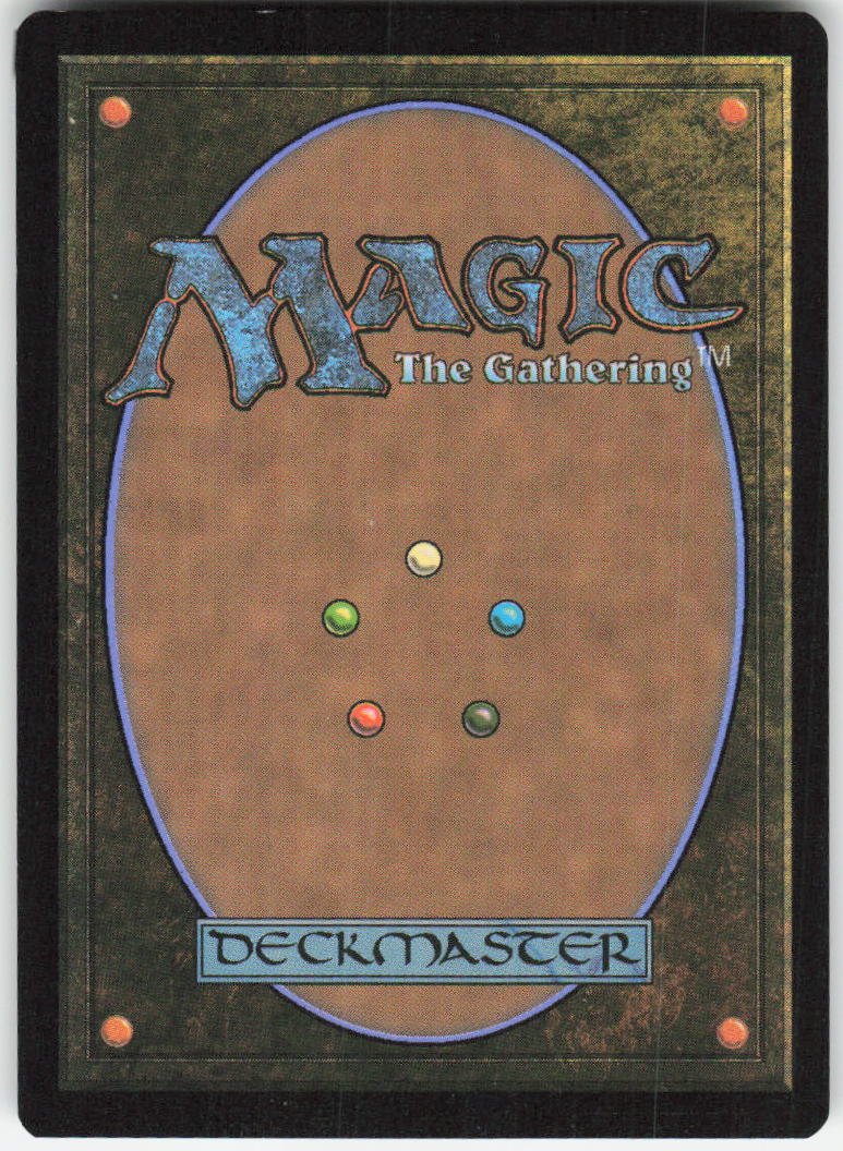 Plains (0262) (Borderless Foil) L Edge of Eternities 262 NM (Back)