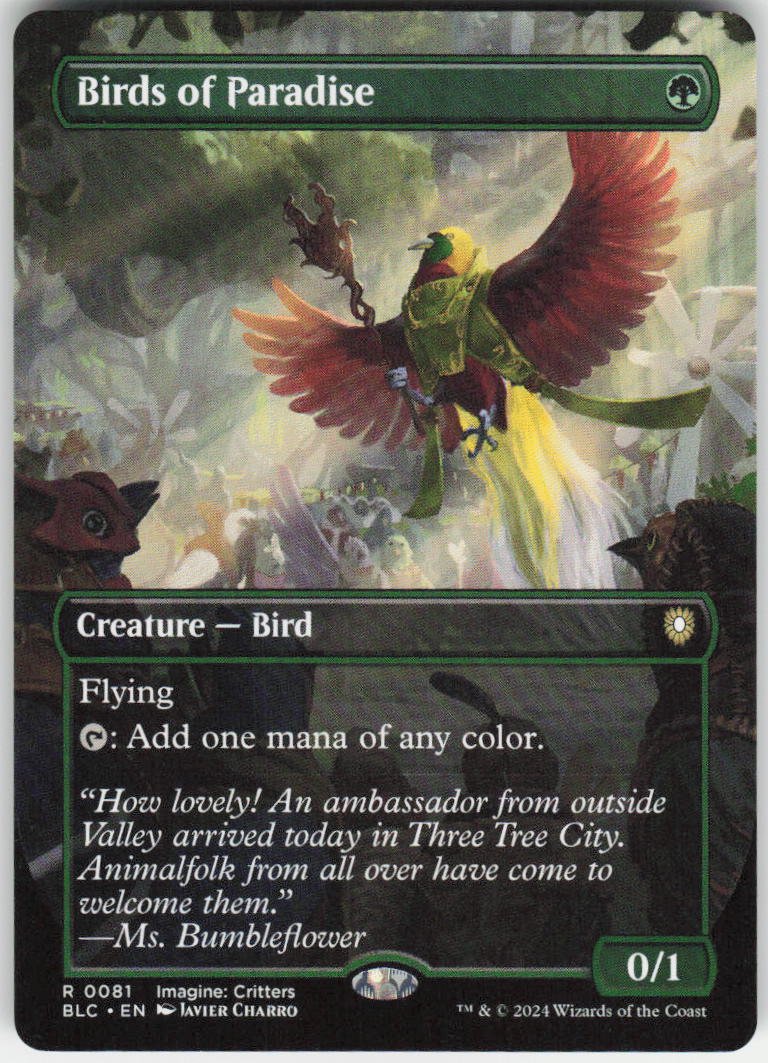 Birds of Paradise (Borderless) R Commander: Bloomburrow 81 NM