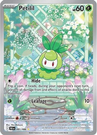 Petilil 091/086 Illustration Rare Black Bolt Holo NM/M