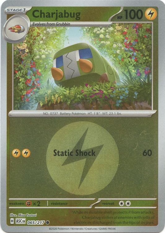 Charjabug (Energy Symbol Pattern) 065/217 Reverse Holo Ascended Heroes NM/M