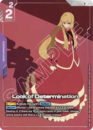 Look of Determination (R+) GD03-114 R+ Steel Requiem NM/M