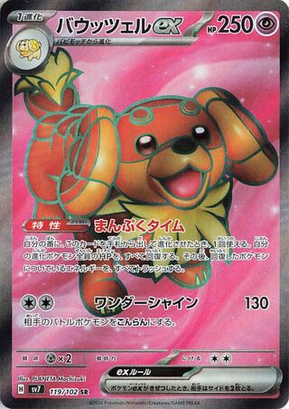 Dachsbun EX 119/102 Super Rare Stellar Miracle NM/M