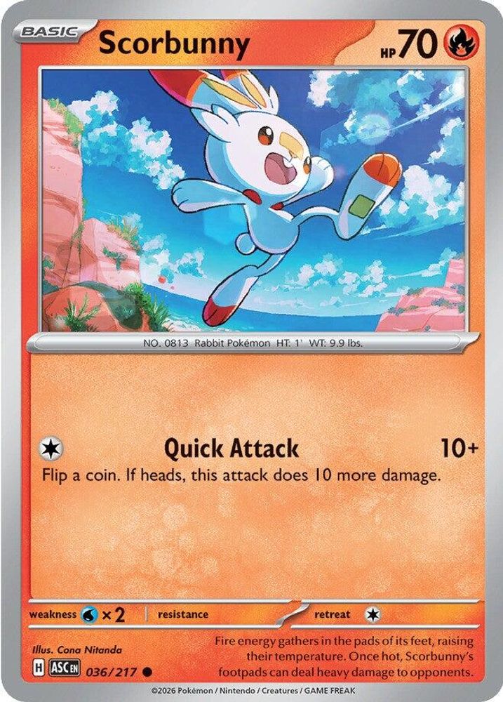 Scorbunny 036/217 Common Ascended Heroes NM/M