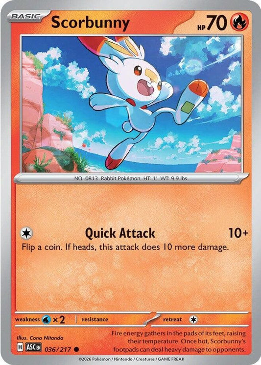Scorbunny 036/217 Common Ascended Heroes NM/M