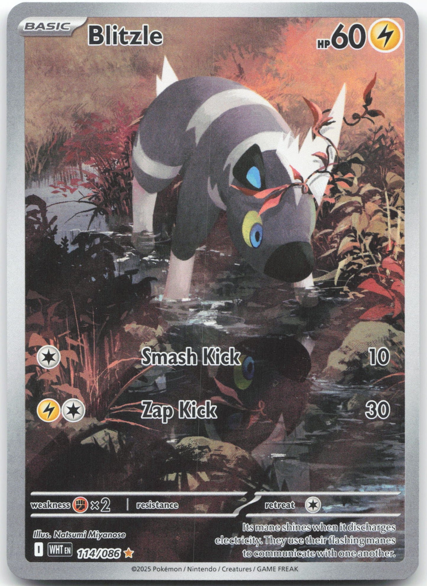 Blitzle - Illustration Rare SV: White Flare 114/086 NM