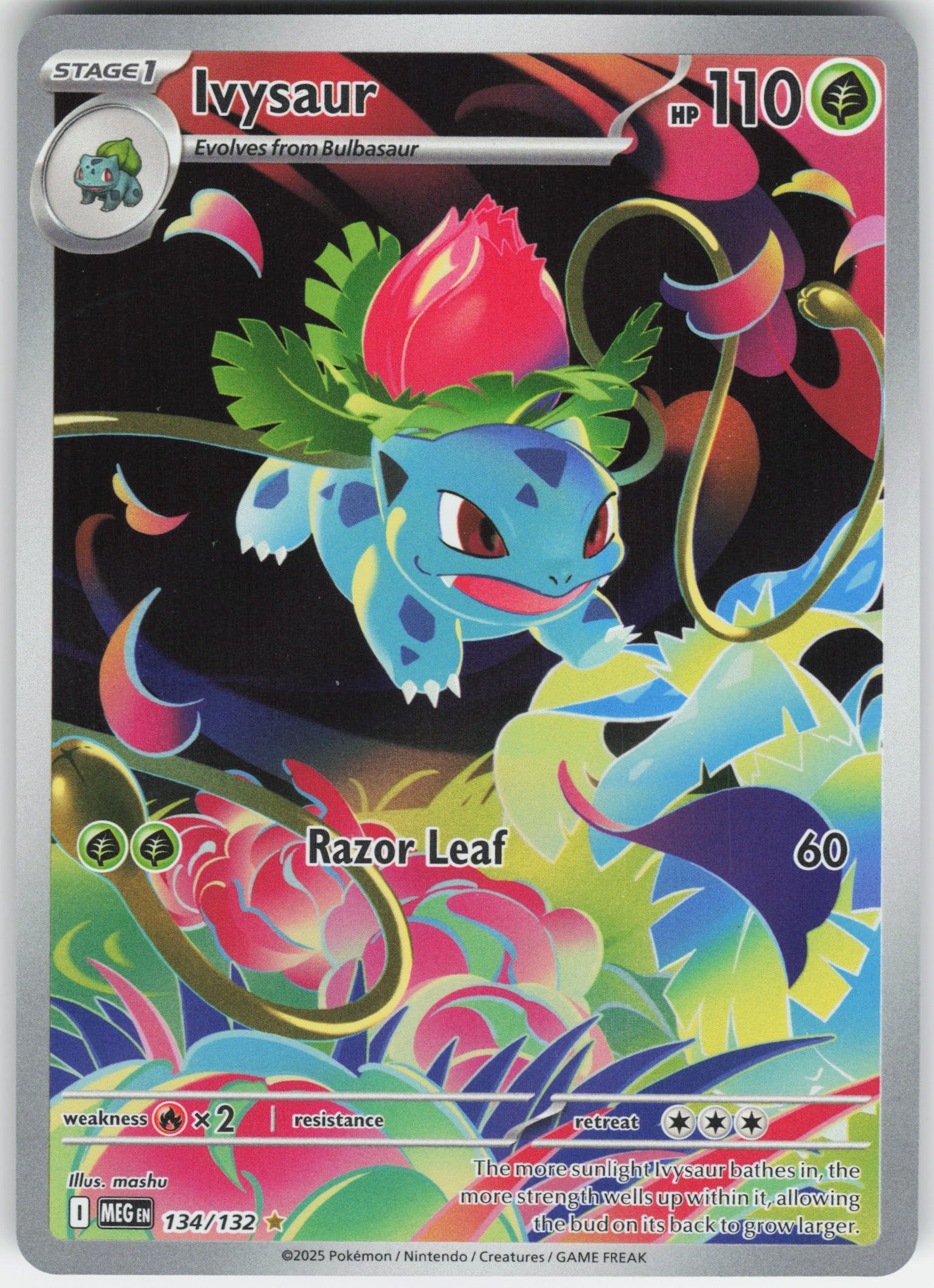 Ivysaur - Illustration Rare ME01: Mega Evolution 134/132 NM