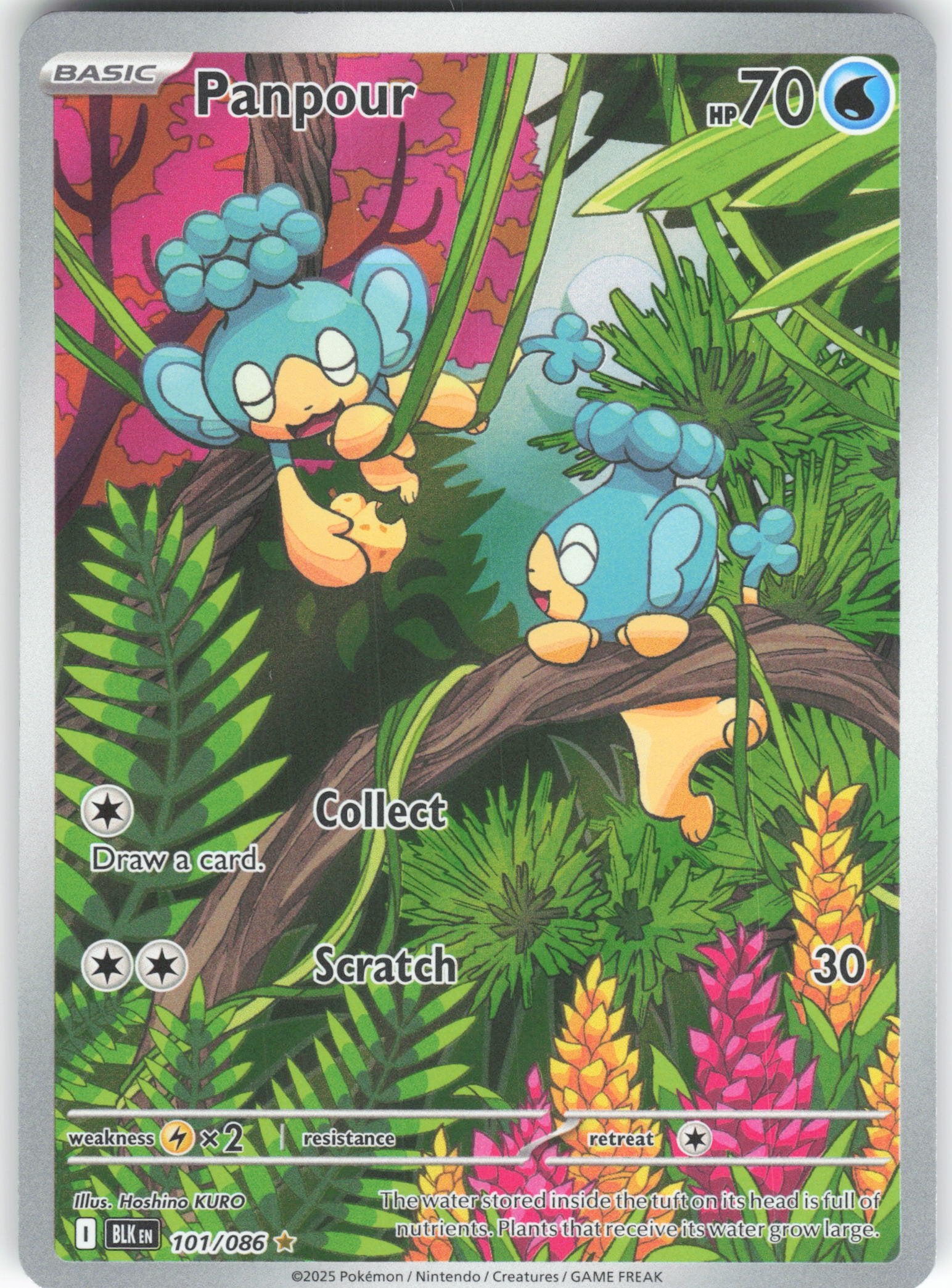 Panpour - Illustration Rare SV: Black Bolt 101/086 NM