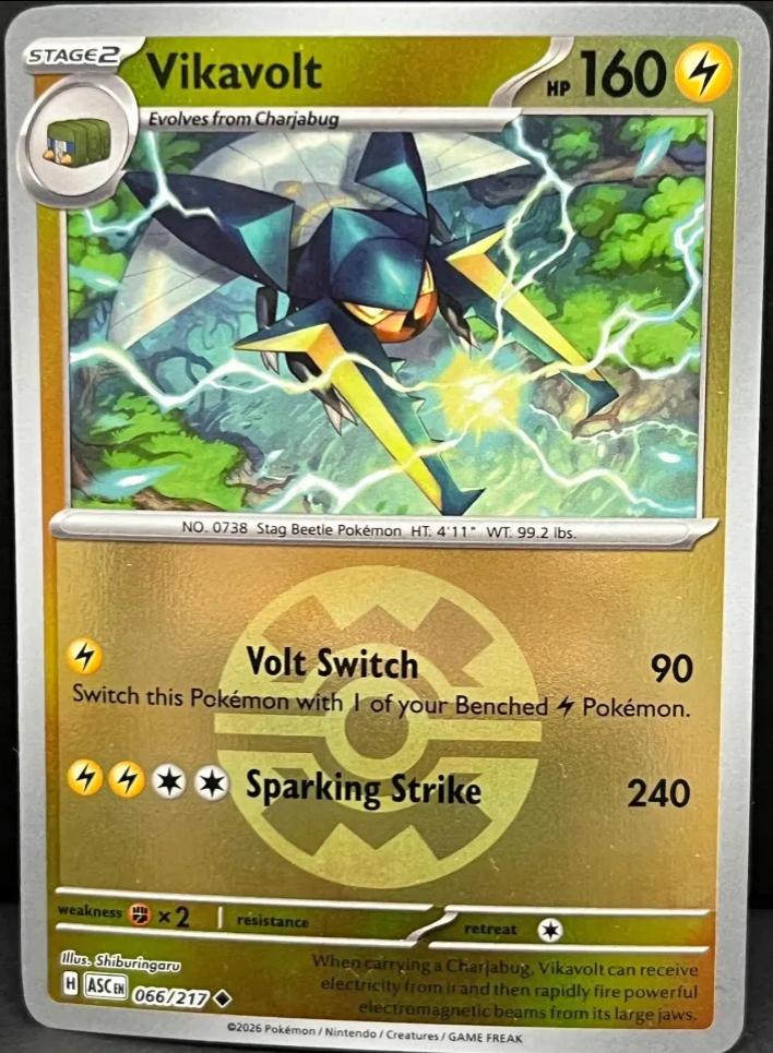 Vikavolt (Quick Ball) 066/217 Uncommon Reverse Holo Ascended Heroes NM/M