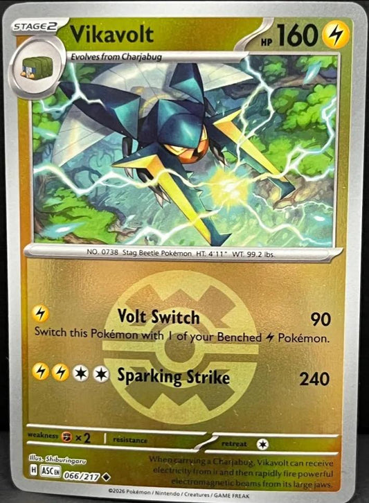 Vikavolt (Quick Ball) 066/217 Uncommon Reverse Holo Ascended Heroes NM/M