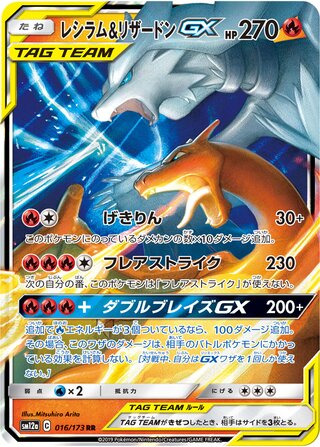 Reshiram & Charizard GX 016/173 Double Rare Tag All Stars NM/M