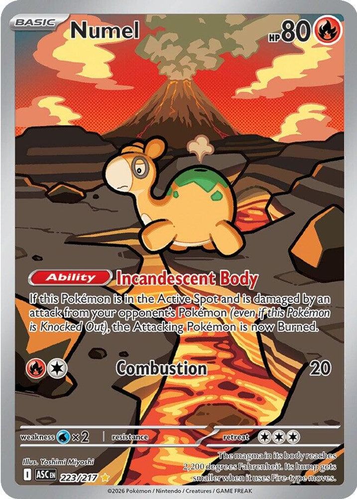 Numel 223/217 Illustration Rare Ascended Heroes NM/M
