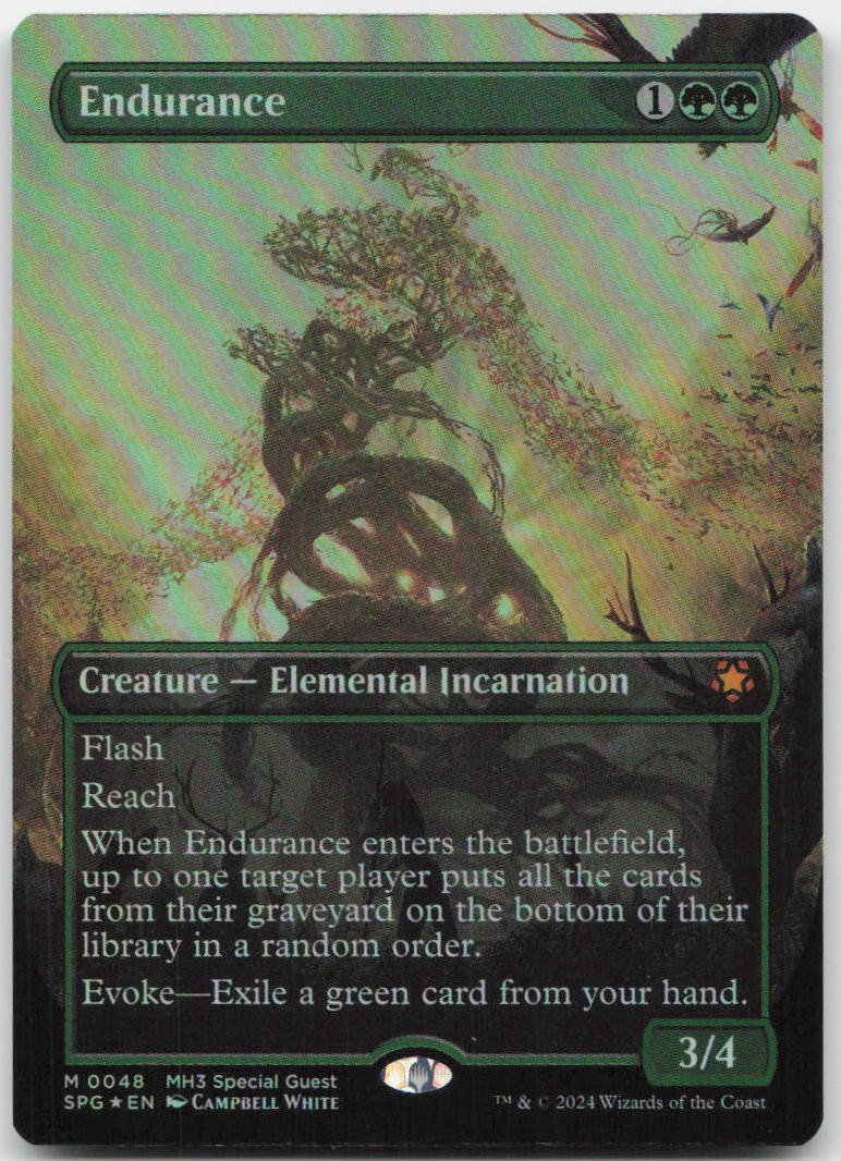 Endurance (Borderless) M Special Guests 48 NM