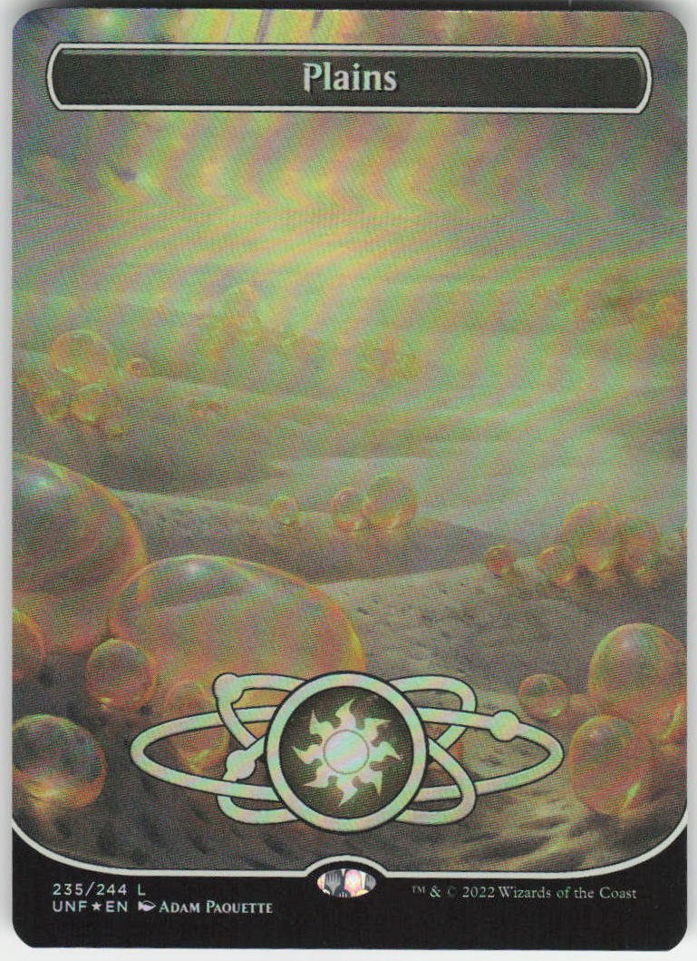 Plains (Borderless Foil) L Unfinity 235 NM