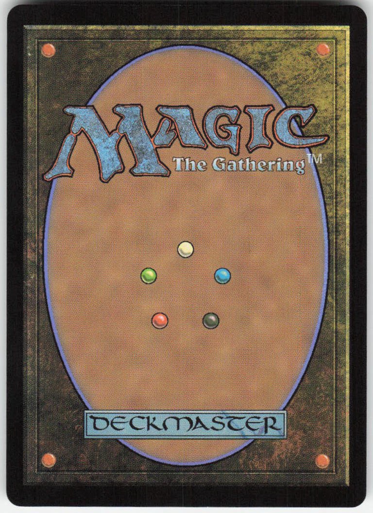 Raiding Schemes (Foil) R Lorwyn Eclipsed 239 NM (Back)