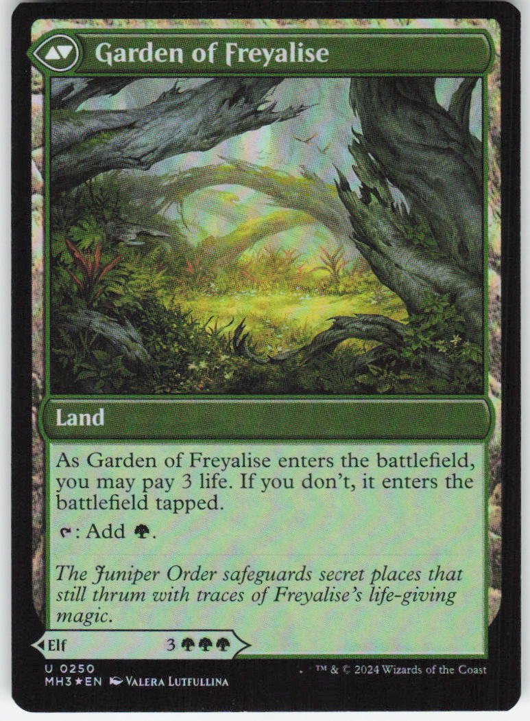 Disciple of Freyalise U Modern Horizons 3 250 NM (Back)