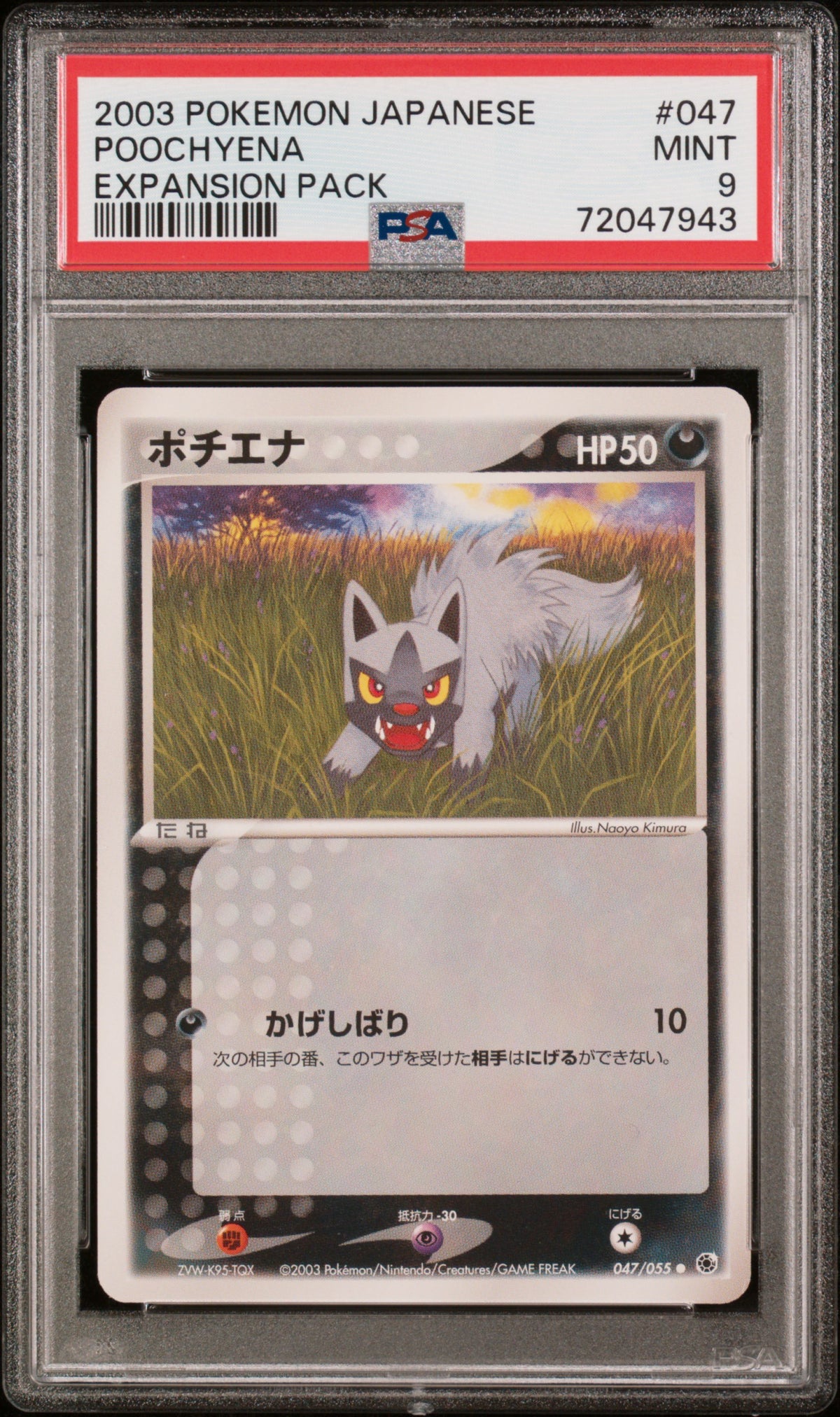 PSA 9 2003 POKEMON JAPANESE EXPANSION PACK #047 POOCHYENA EXPANSION PACK 72047943