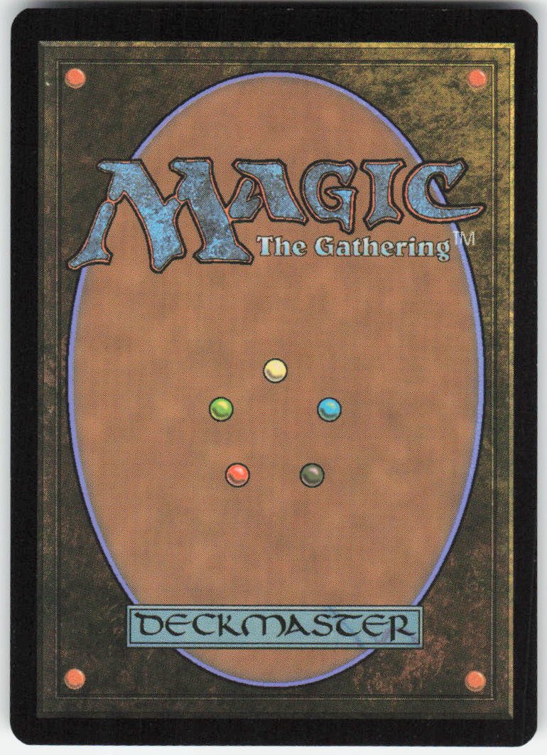 Adarkar Wastes (Borderless) R Dominaria United 377 NM (Back)