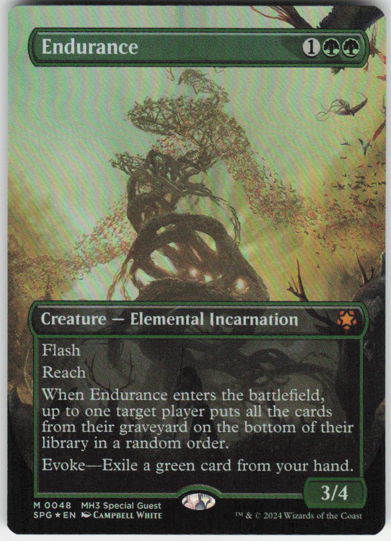 Endurance (Borderless) M Special Guests 48 NM