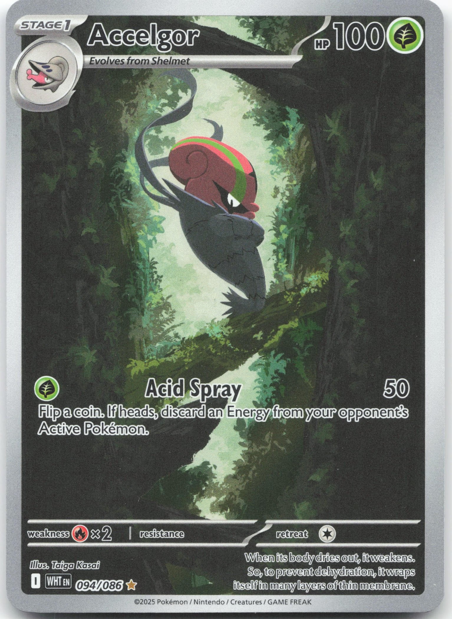 Accelgor - Illustration Rare SV: White Flare 094/086 NM