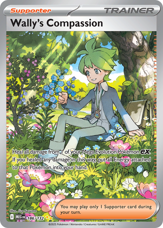 Wally's Compassion 186/132 Special Illustration Rare Mega Evolution NM/M