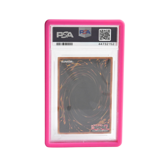 Guardian Bumper (REMASTERED) - PSA Style - Pink
